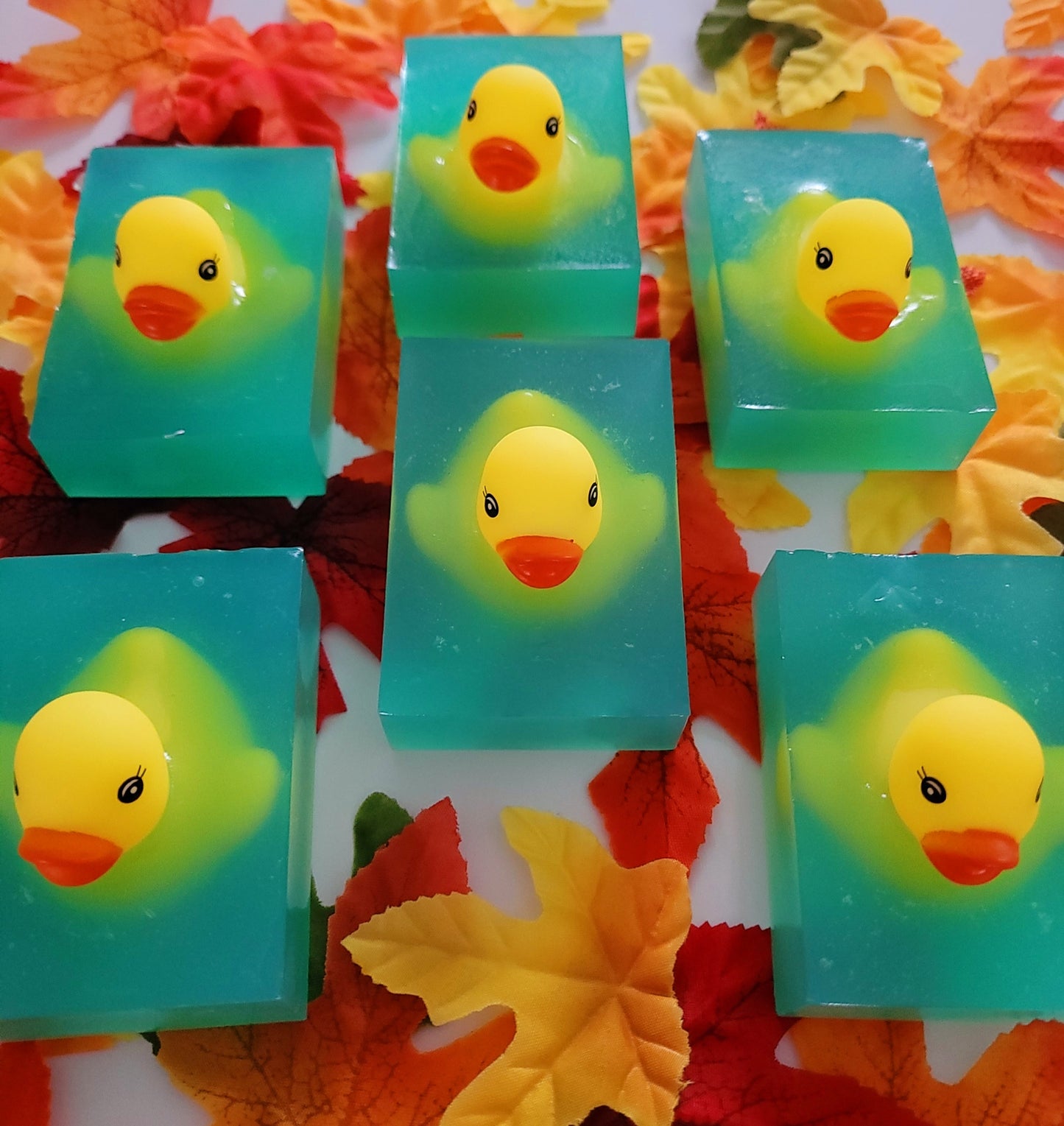 Animals on the Beach